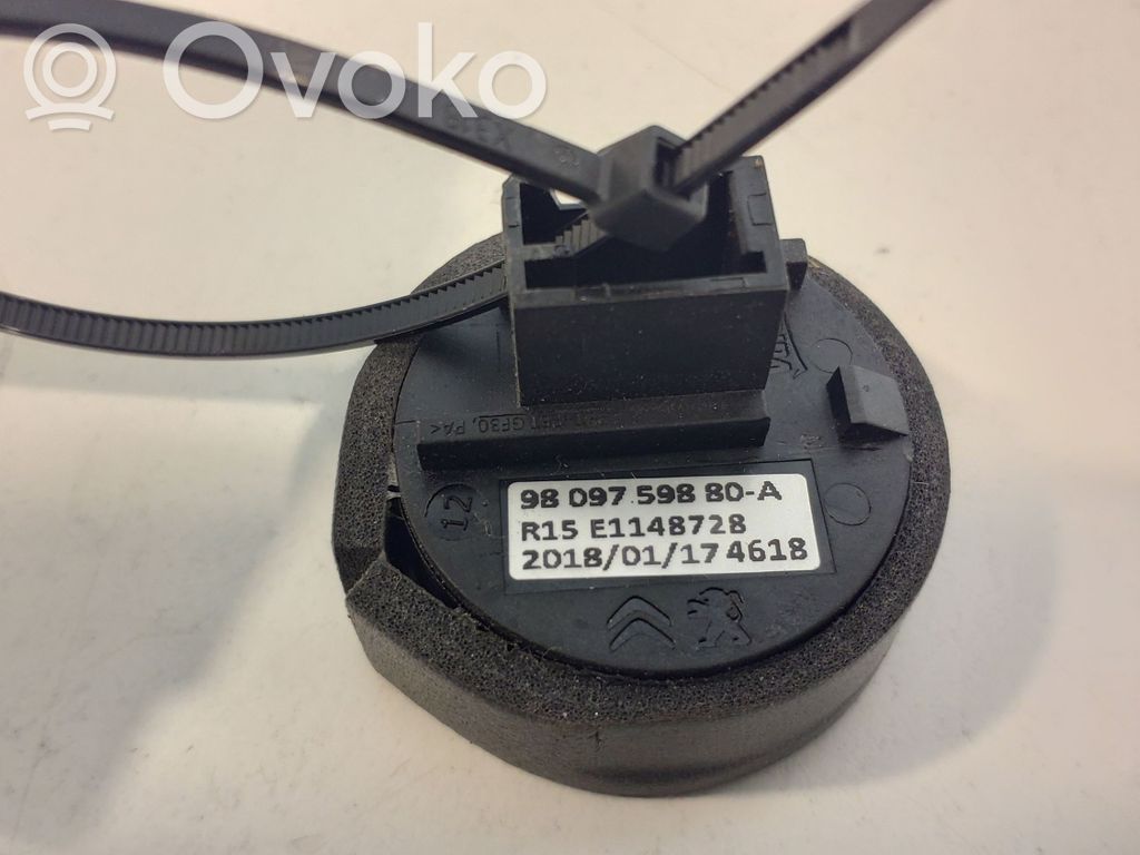 Citroen C3 Aircross Immobiliser reader (aerial) 