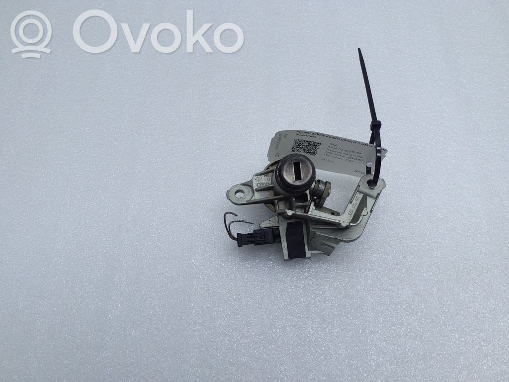 Audi A8 S8 D3 4E Tailgate exterior lock 