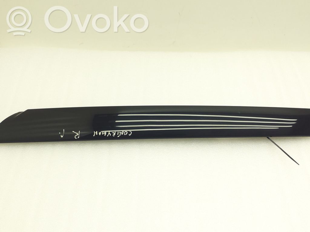 Mini Cooper Countryman R60 Windshield trim 