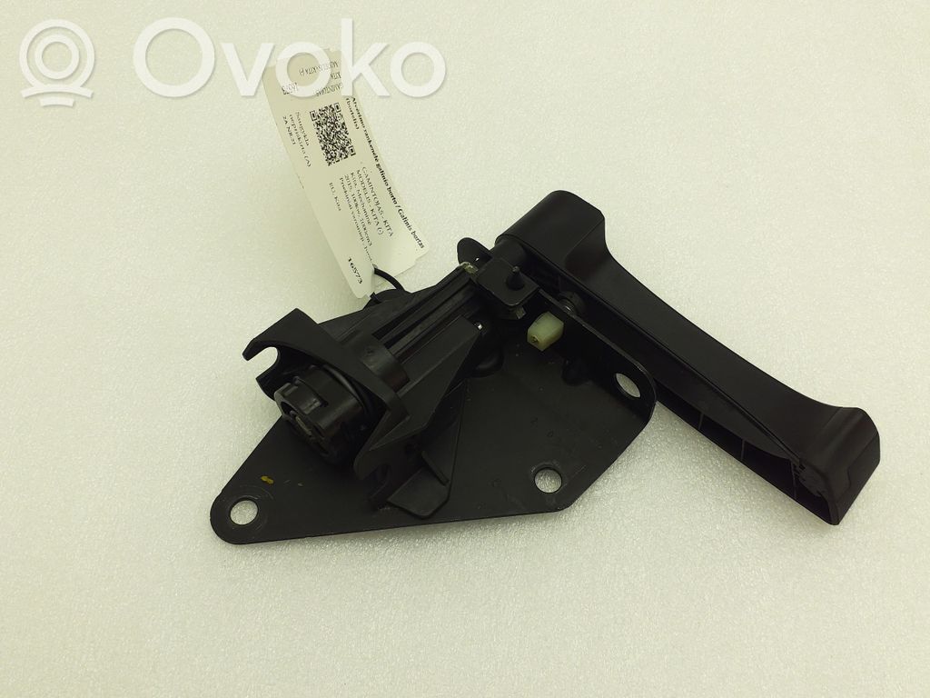 BMW X5 E70 Tailgate release/open handle 