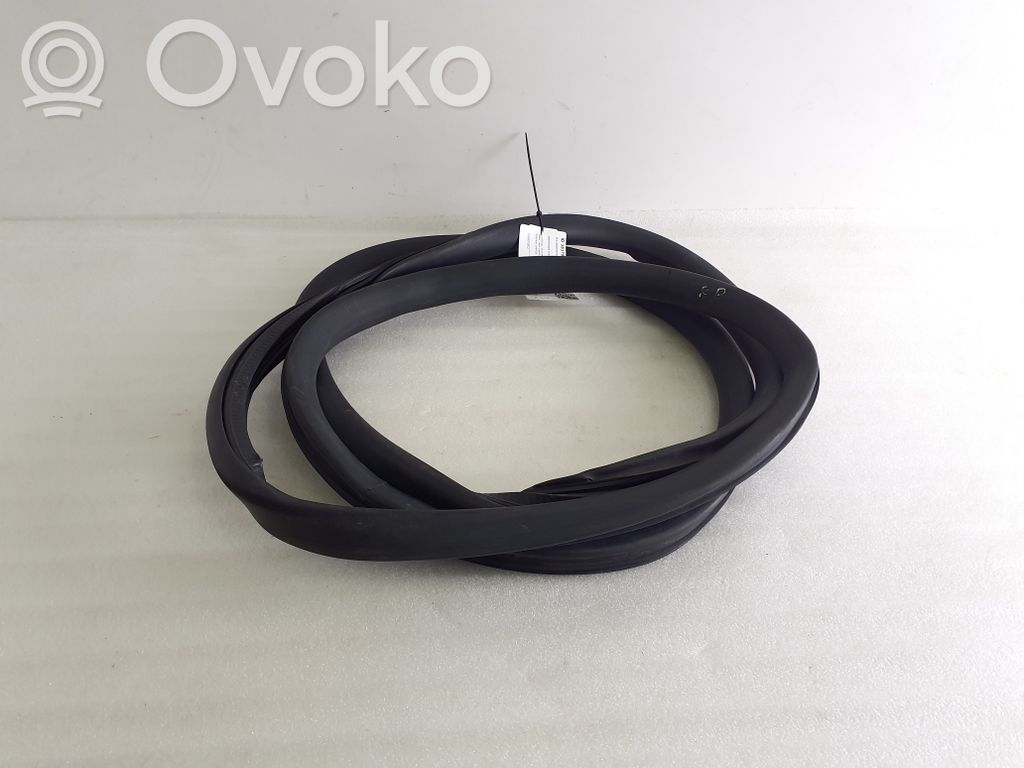 Opel Vivaro Front door rubber seal 