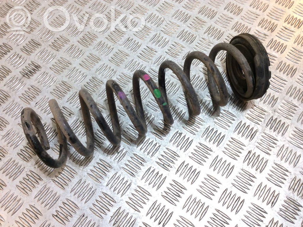 Rear coil spring