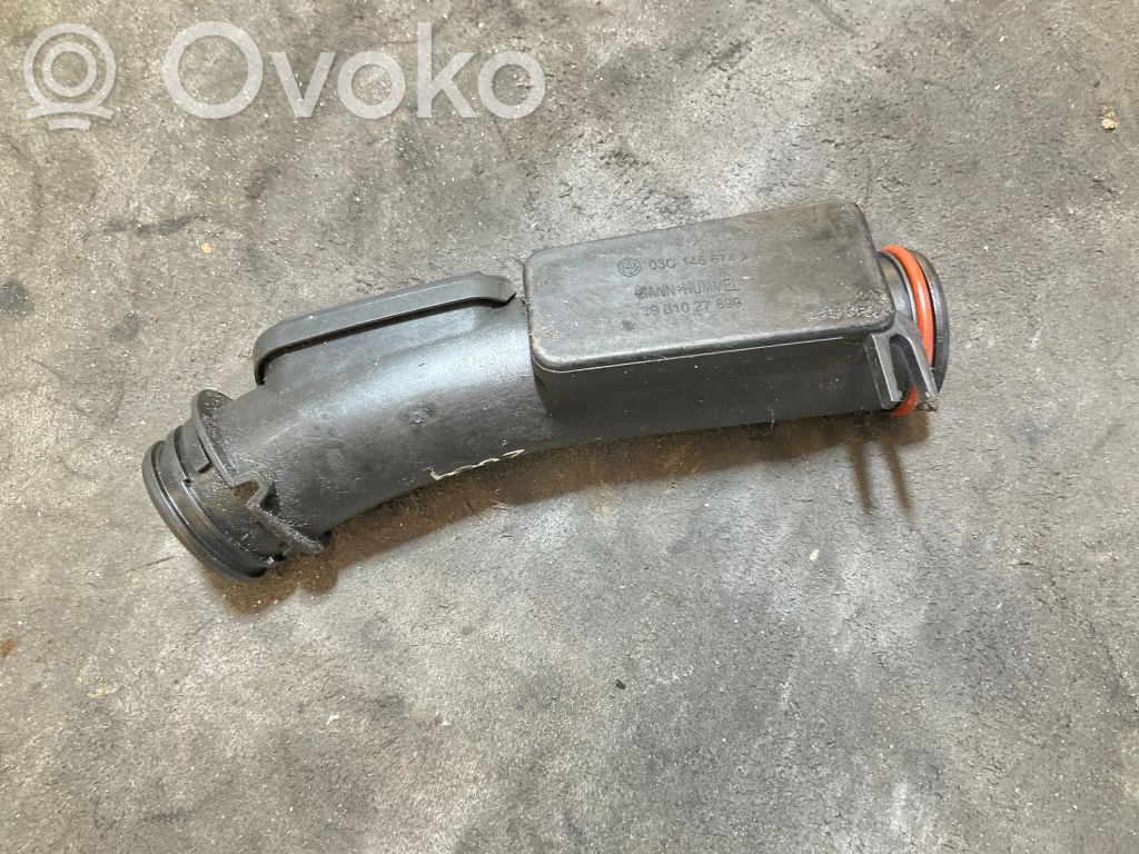 Volkswagen Golf Plus Interkūlera šļūtene (-es) / caurule (-es) 