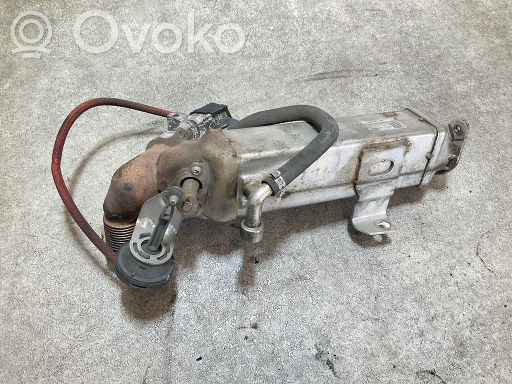 EGR aušintuvas   7810751,123398