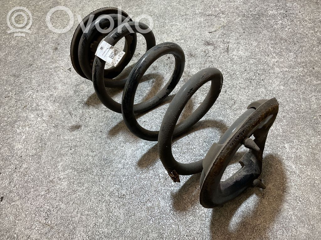Tesla Model 3 Rear coil spring 
