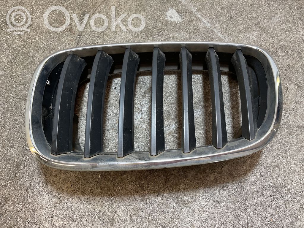 BMW X5 E70 Etusäleikkö 