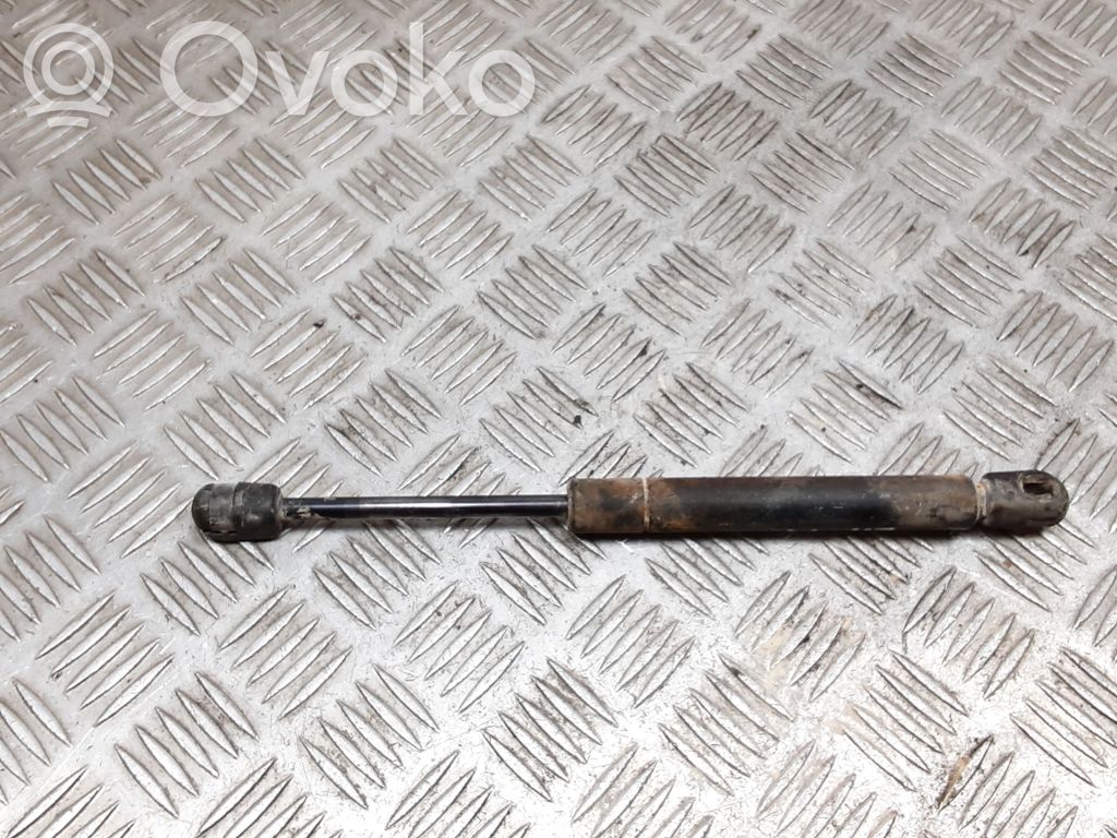 Tailgate/trunk strut/damper
