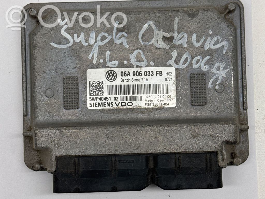 Skoda Octavia Mk2 (1Z) Engine control unit/module 