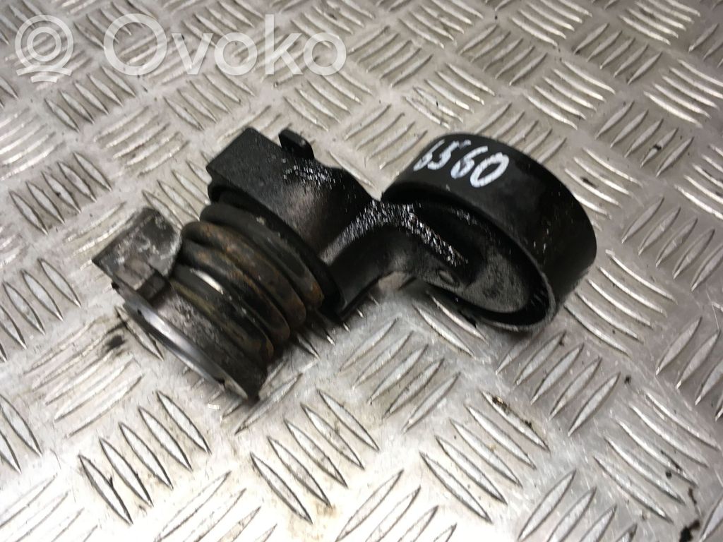 Seat Cordoba (6L) Întinzător curea alternator 