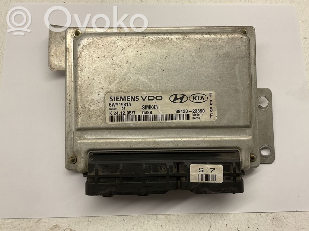 Hyundai Trajet Engine control unit/module 