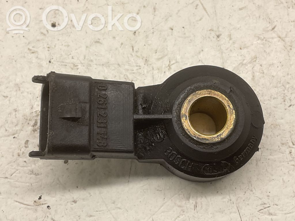 Porsche Cayenne (9PA) Klopfsensor 