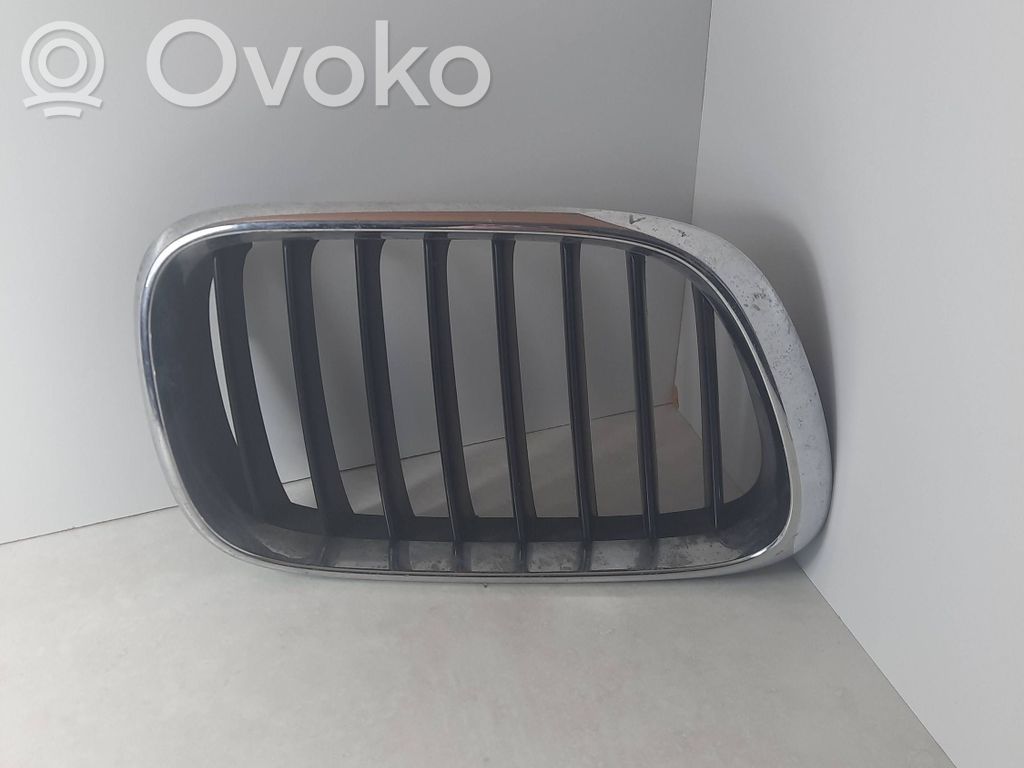 Grotelės priekinės   51138247674