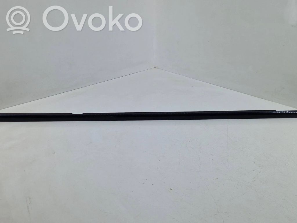 BMW 7 F01 F02 F03 F04 Listwa / Uszczelka szyby drzwi tylnych 