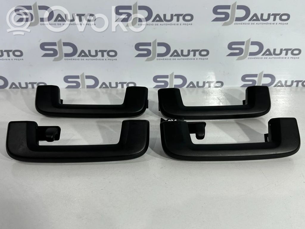 Asidero interior delantero   39818317,39818324