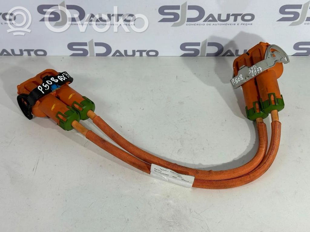 Peugeot 508 RXH Cableado de instalación del motor 