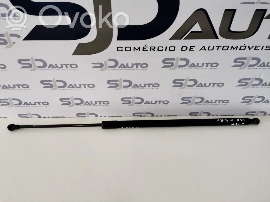 Tailgate/trunk strut/damper   51247118885