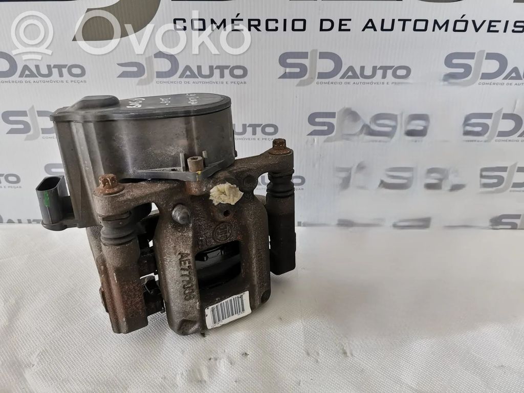 Takajarrusatula   0204749603