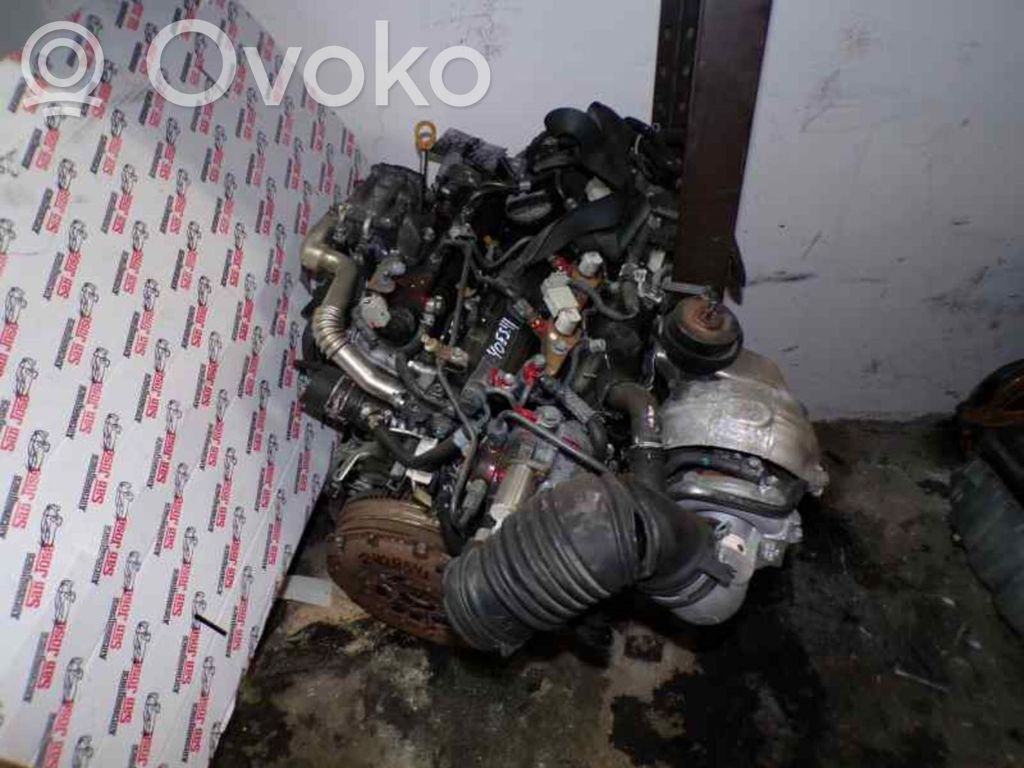 Motor