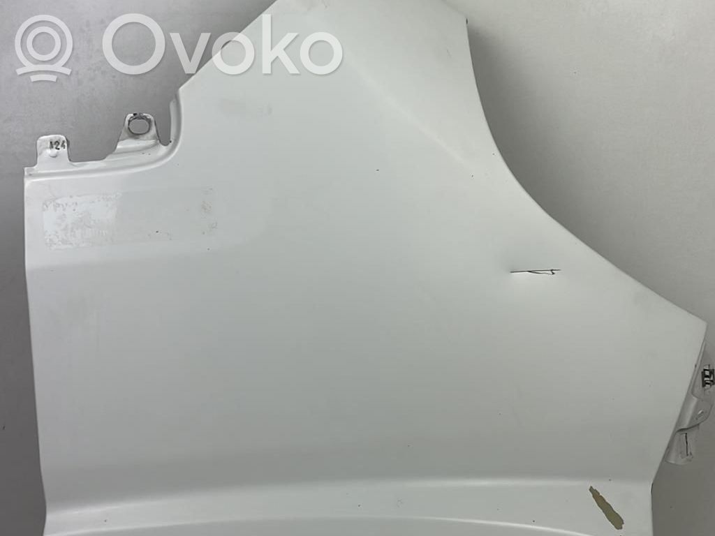 Guardabarro   1610458480