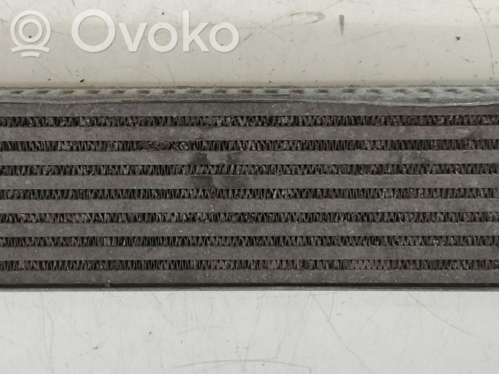 Interkūlerio radiatorius   31280122