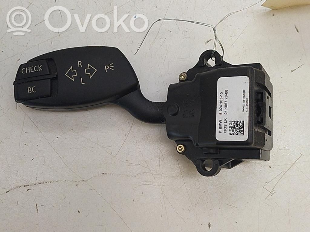 Indicator stalk   61316924103