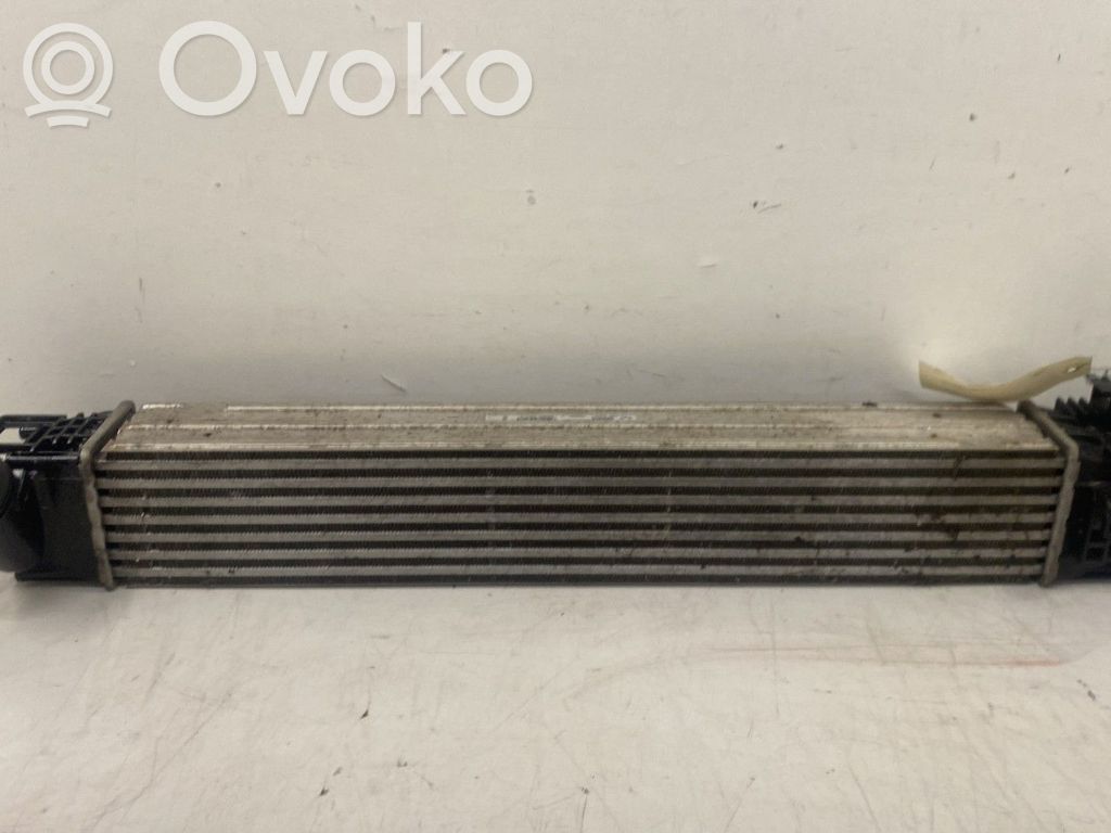 Intercooler radiator   8200880552