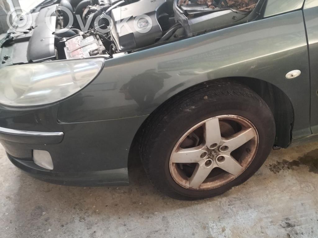 Peugeot 407 Sparnas 
