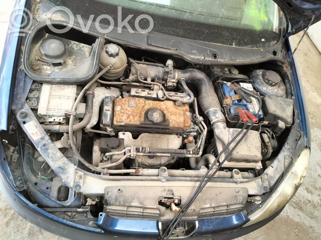 Peugeot 206 Išmetimo kolektorius 