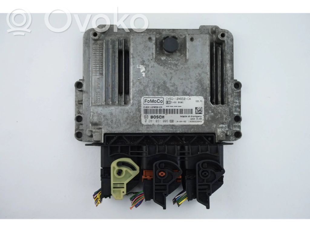 Ford Focus Engine control unit/module 