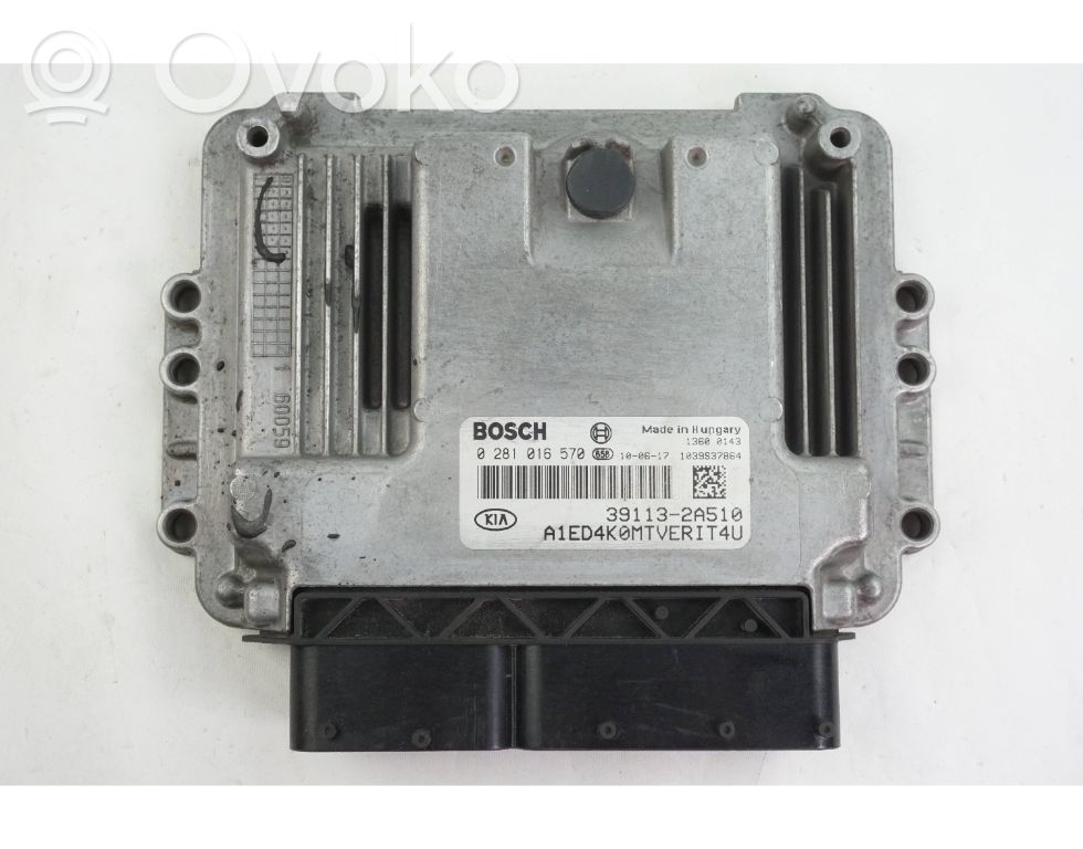 Engine control unit/module   391132A510,0281016570