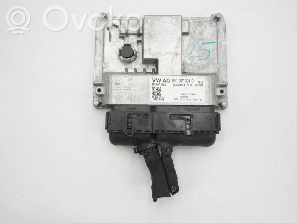 Skoda Fabia Mk4 (6VA) Engine control unit/module 