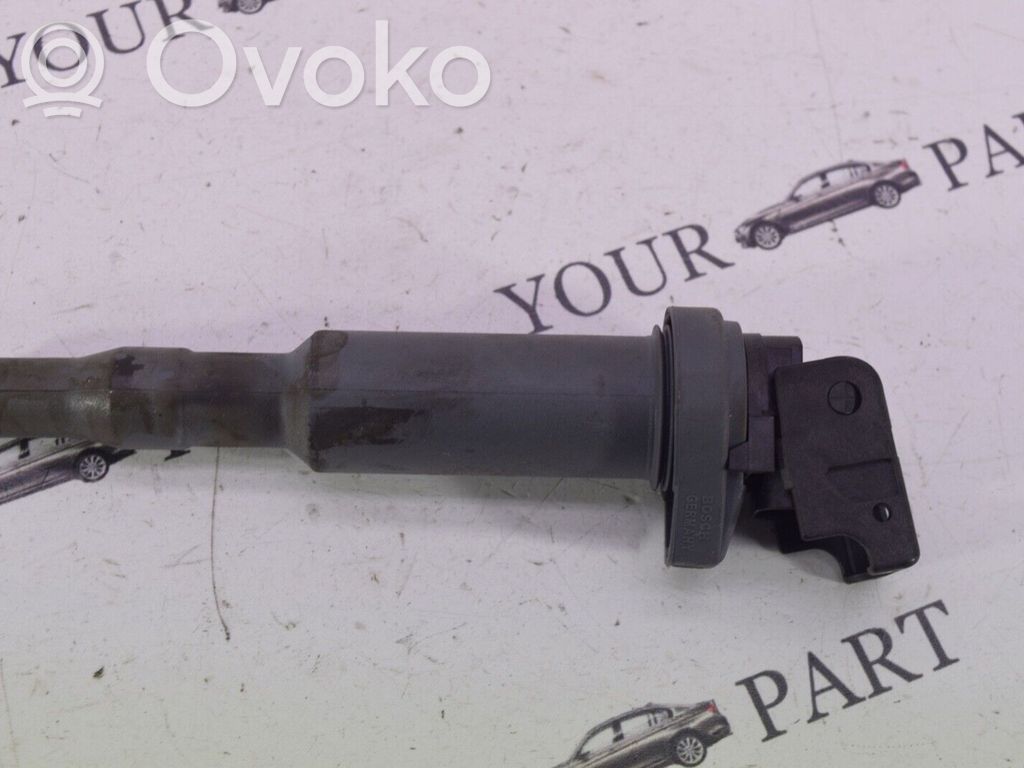 High voltage ignition coil   221504471
