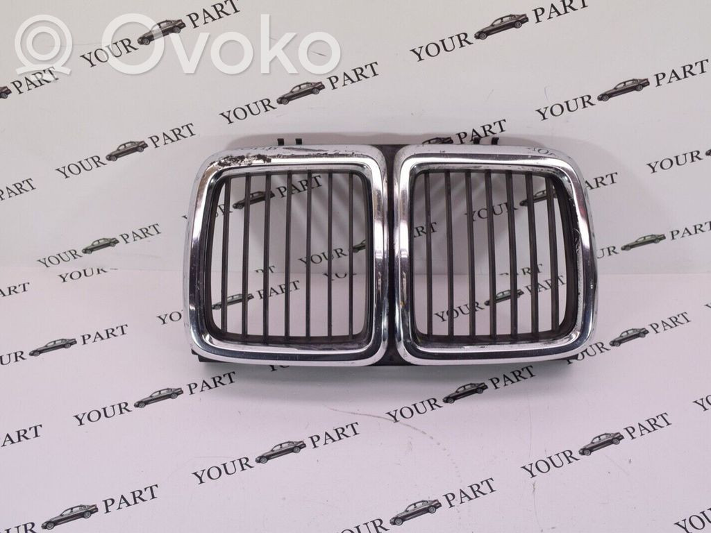 Front grill   1908697