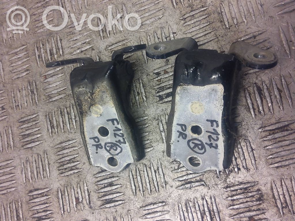 Chevrolet Captiva Front door hinge set 