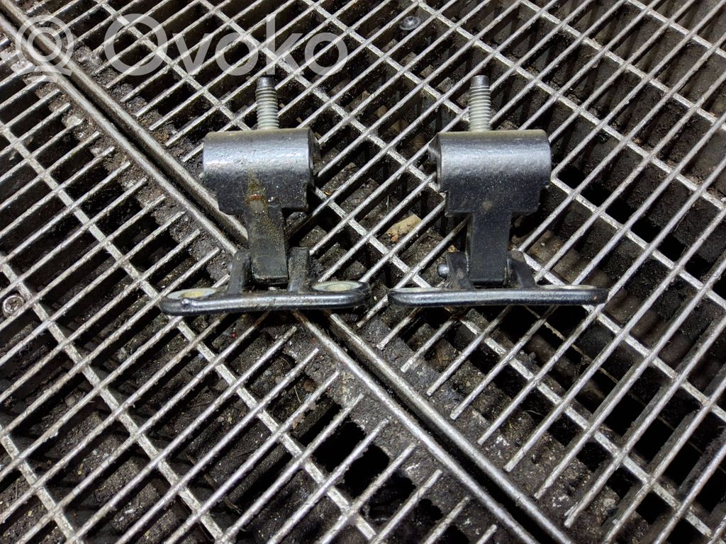Tailgate/trunk/boot hinge