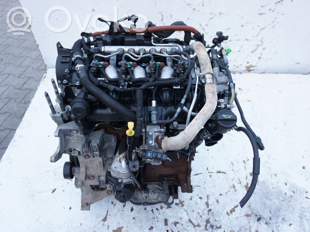 Engine   10DZ55