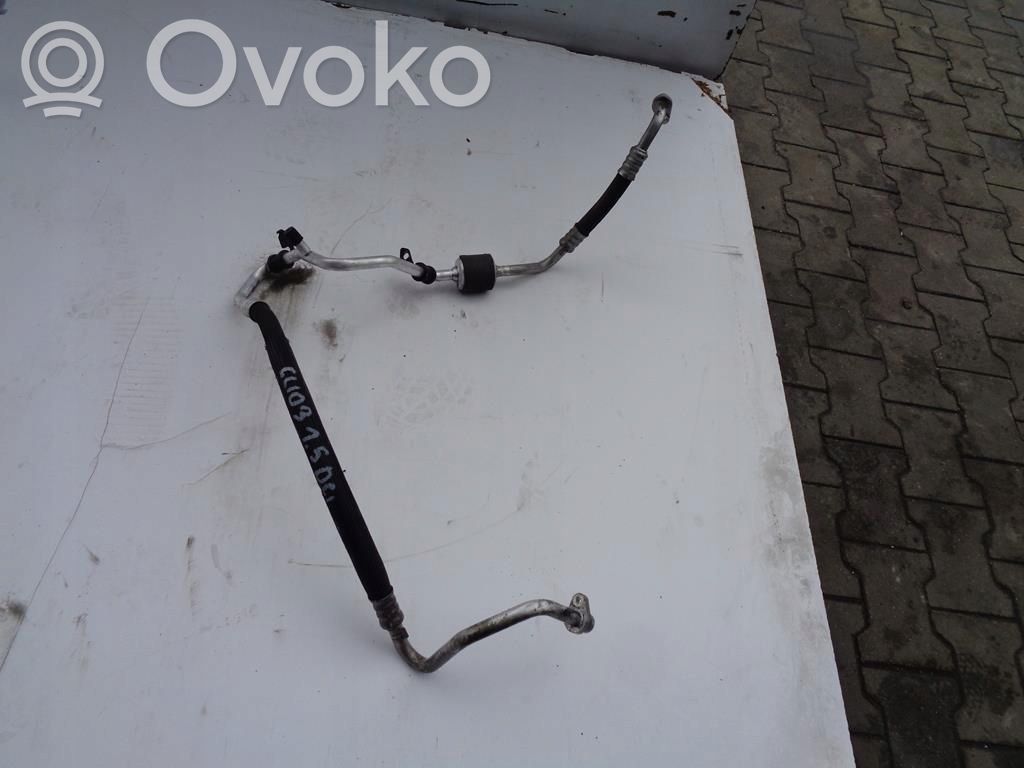 Renault Clio III Gaisa kondicioniera caurulīte (-es) / šļūtene (-es) 