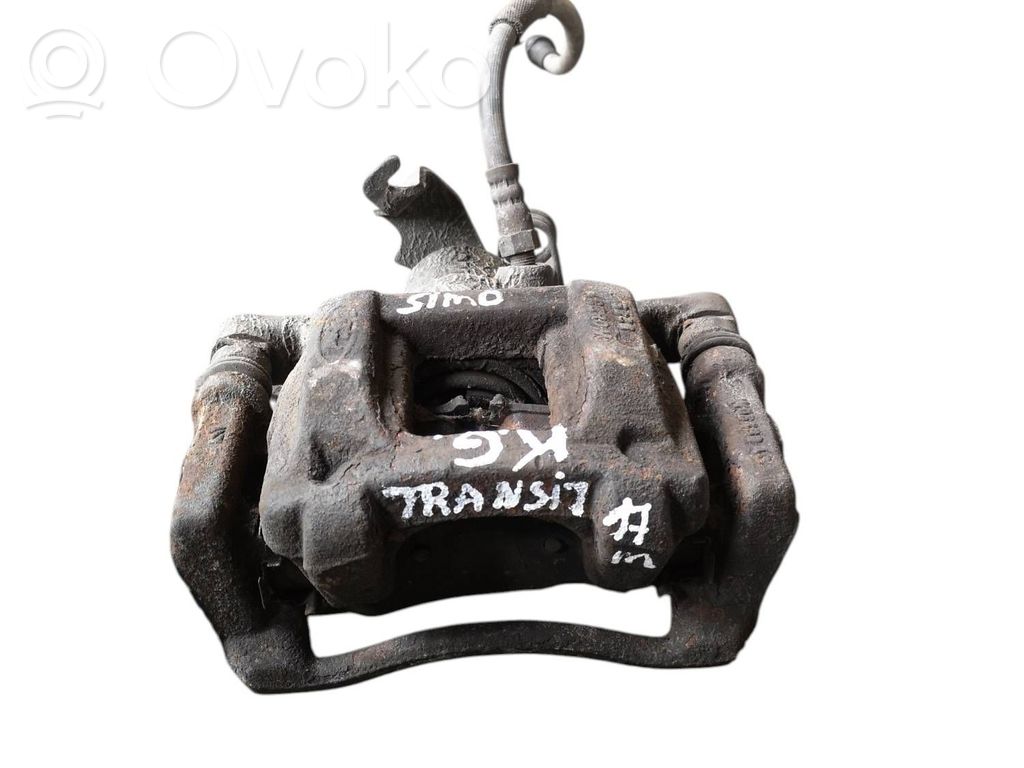 Takajarrusatula   W08439AC
