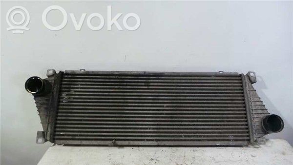 Volkswagen Multivan T4 Interkūlerio radiatorius 
