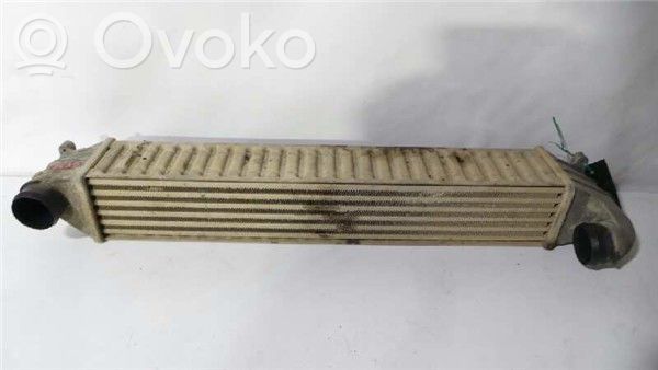 Interkūlerio radiatorius   1109138,7M3145805