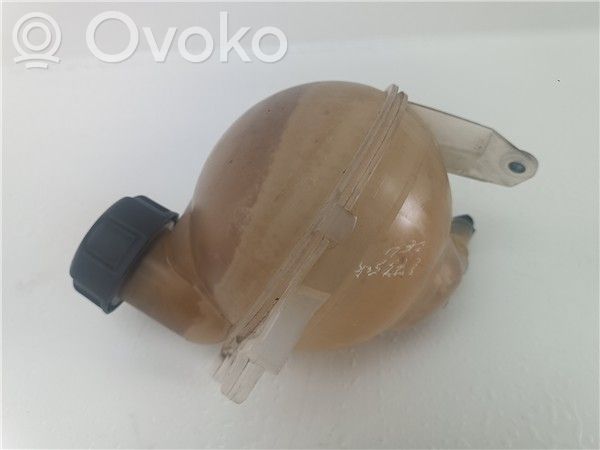 Citroen C4 II Degvielas izplešanās tvertne 