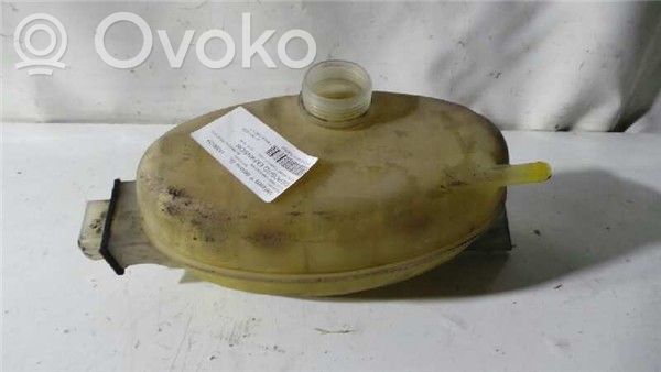Opel Vivaro Kuro išsiplėtimo bakelis 