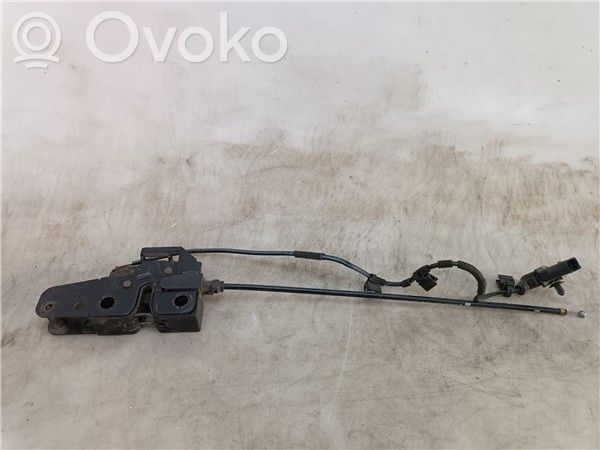 Tie down hook / loop   BKD,5P0823509B