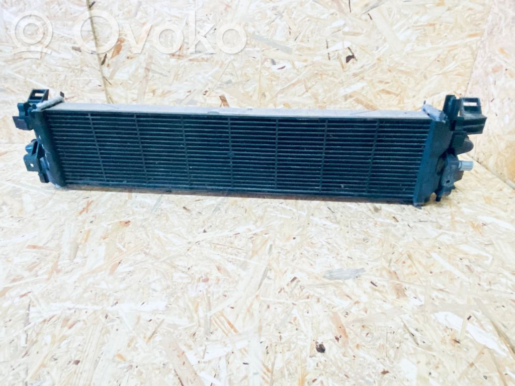 Interkūlerio radiatorius   FORDF1F18D048AB,DG9317K808AB