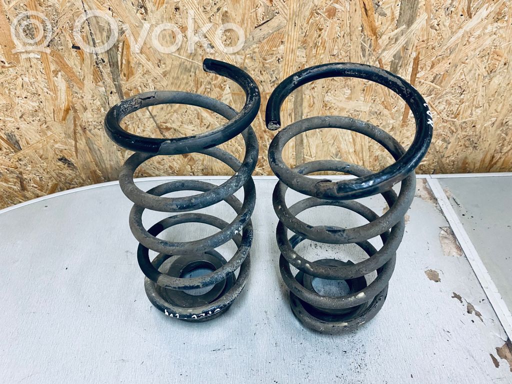 Rear coil spring