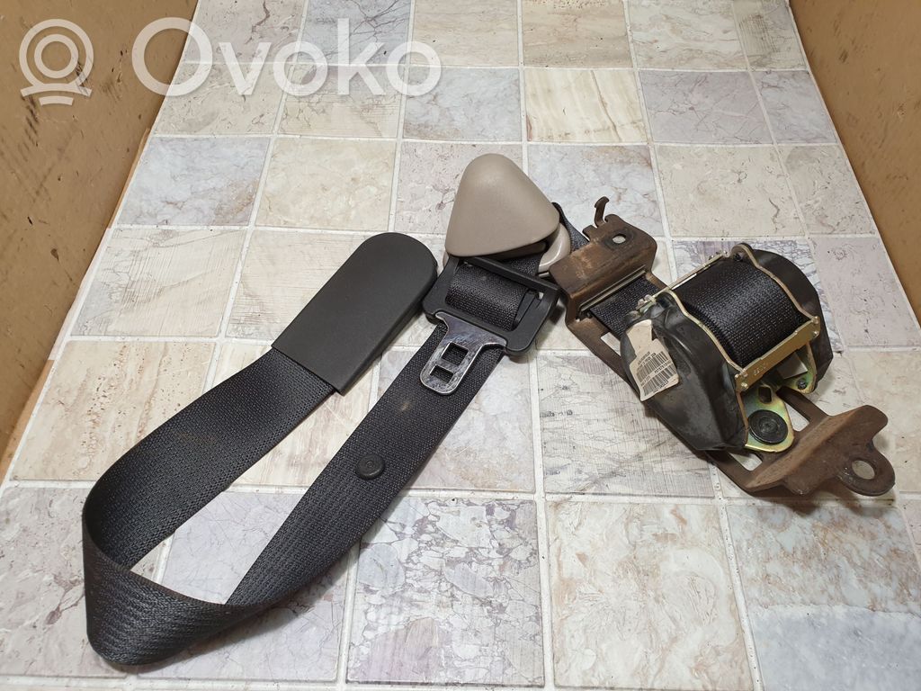 Chrysler Pacifica Rear seatbelt 