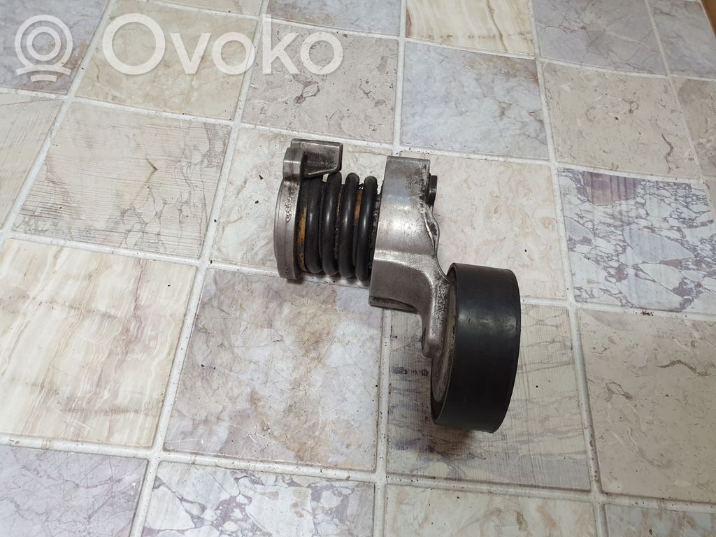 Volkswagen Fox Întinzător curea alternator 