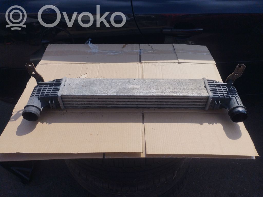 Interkūlerio radiatorius   95VW9L440AA,1475805