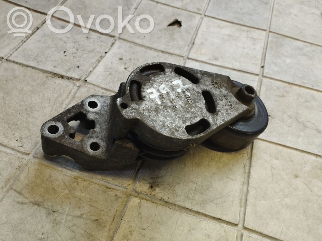 Volkswagen Polo IV 9N3 Întinzător curea generator/alternator 