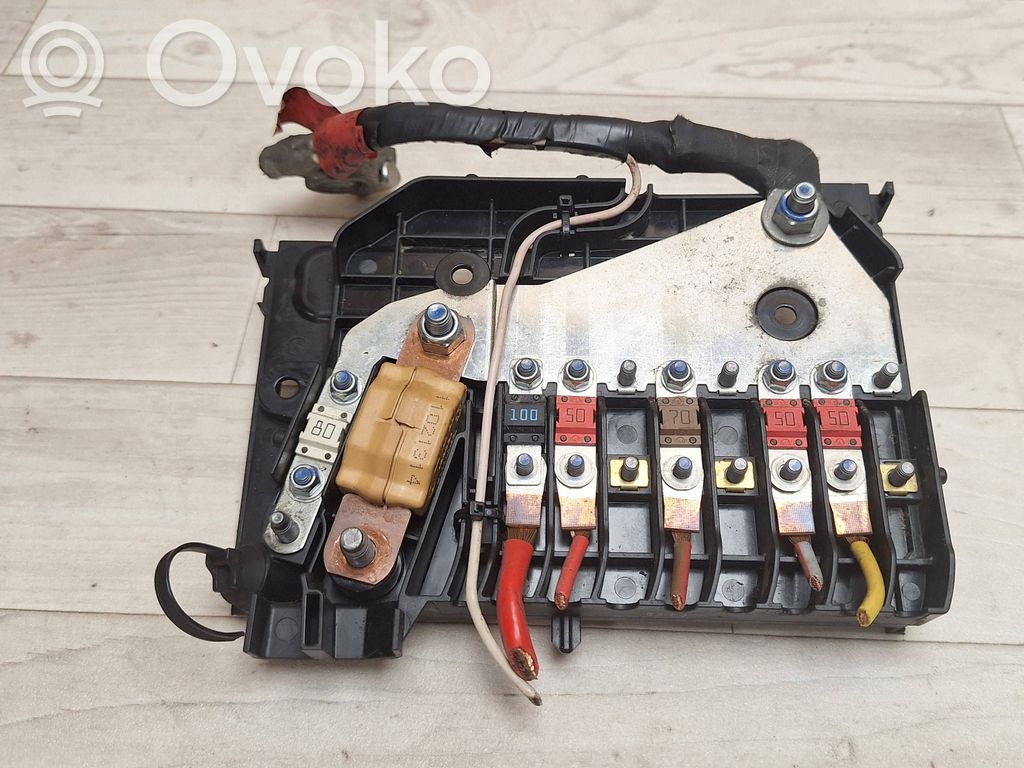 Ford Focus Positive wiring loom 